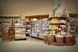 佳兆業旗下精品超市Casamia廣州亮相，新零售版圖再添時尚生活新場景